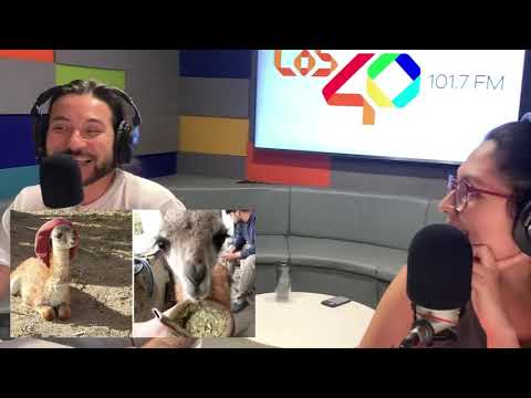 Joce Acuña y el Pececito por Los40 (02 de febrero)
