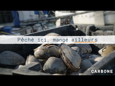 Vidéo: Pourquoi Vous Ne Pouvez Pas Manger De Noyaux De Pêches