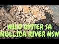 FISHING IN TATHRA NSW PART 3 OYSTER SA NULLICA RIVER