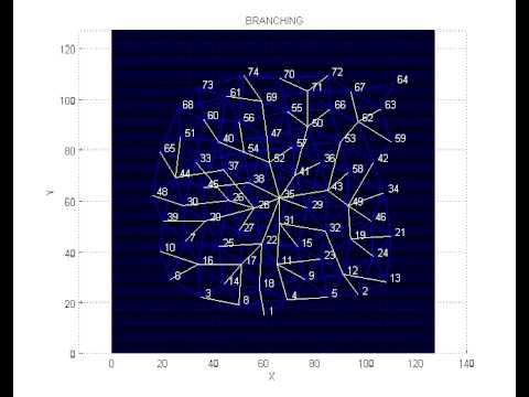 Branching Algorithm from Center