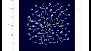 Branching Algorithm From Center
