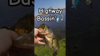 Highway Bassin