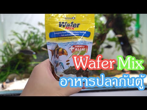Wafer Mix อาหารปลาก้นตู้ ปลาอะไรก็กินได้