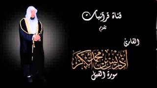 سورة الفيل - إدريس أبكر.