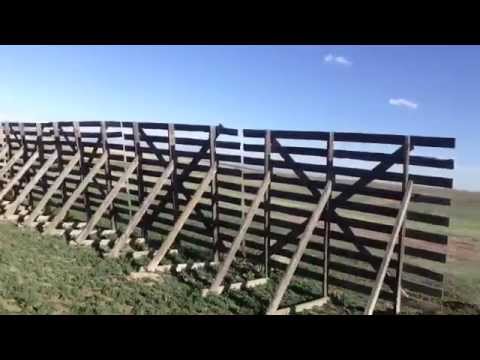 TheDailyWoo - 661 (4/23/14) What's This Fence For ?
