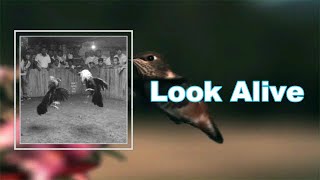 Black Pistol Fire - Look Alive (Lyrics)