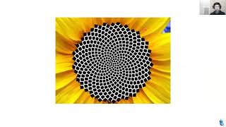 Interesting Properties of Fibonacci Number