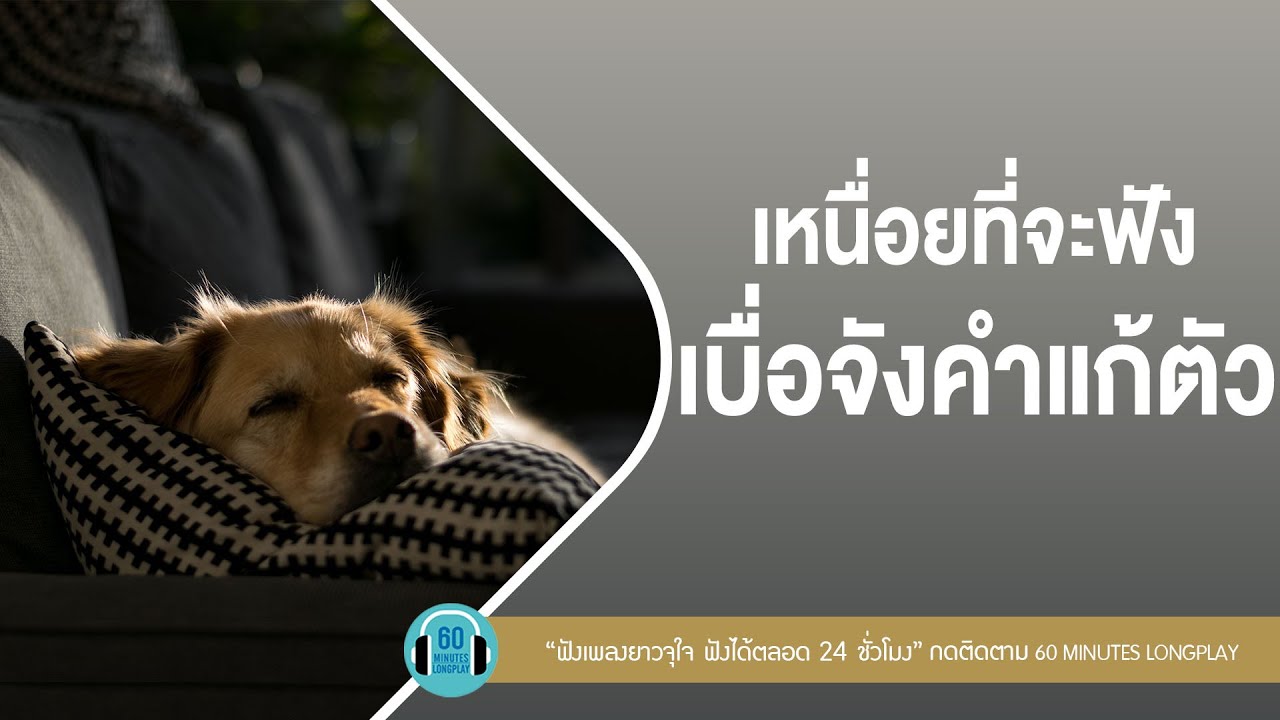 เพลงฮิต เหนื่อยที่จะฟัง เบื่อจังคำแก้ตัว lอย่าทำแบบนี้,หมดเวลาแก้ตัว,กลับไปไม่เหมือนเดิมl【LONGPLAY】