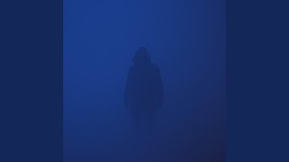 Midnight Phantom