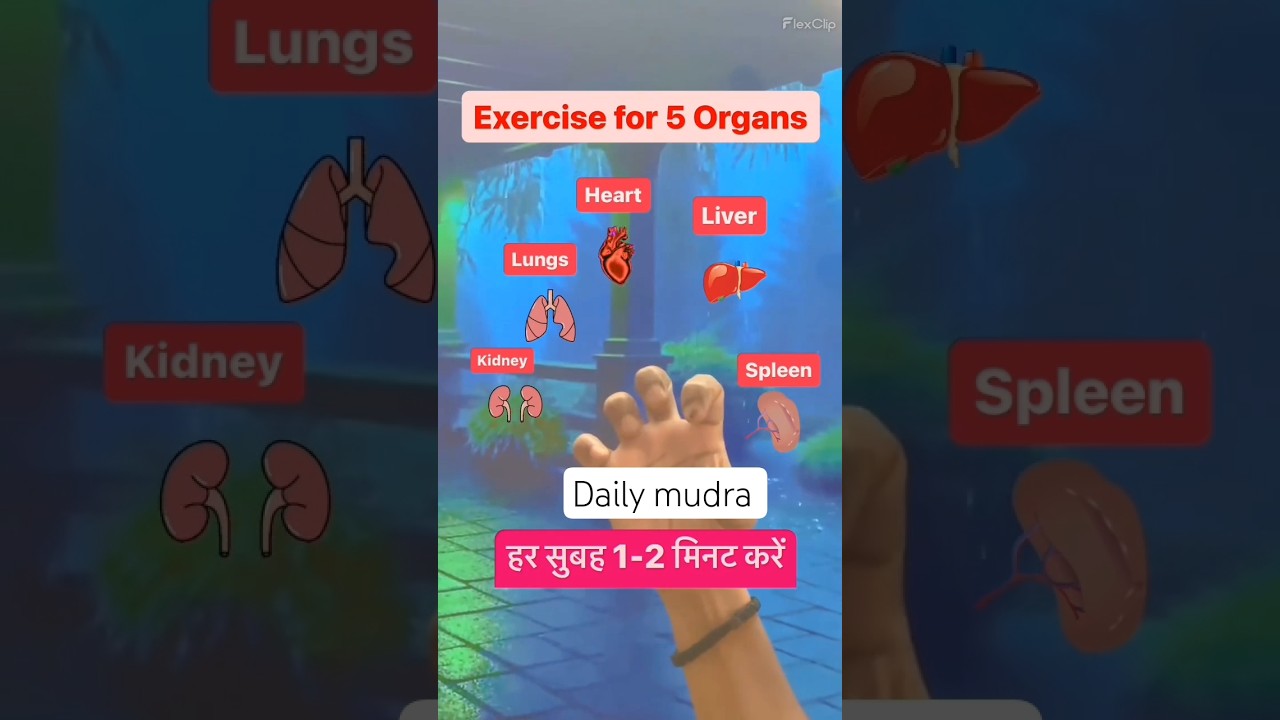 Daily mudra #kidney #heart #liver #lungs #yoga #pain #mudra #health #brain #shorts #ytshorts #viral