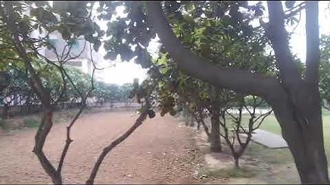 Monad University, Hapur, Uttar Pradesh