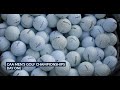 CAA Men's Golf Championship Round One Sights & Sounds