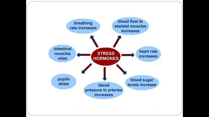 Relaxation and Your Health Webinar - Presented by ...