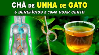 6 Benefícios do CHÁ DE UNHA DE GATO - Como Fazer e Tomar CERTO! (Imunidade, Intestino, Pressão,...)