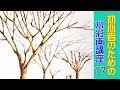 【初心者のための透明水彩17 】木と枝/ [Watercolor course for beginners 17] How to draw trees and branches