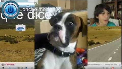 PREGUNTAS ESTUPIDAS DE YAHOO RESPUESTAS Parte 1