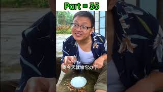मुर्गा और मुर्गी की Love story!! 🤣 funny video /Part-035  #shorts #funnyvideo @mr.pradhan