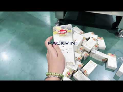 PACKVIN Secondary Packing Machine | Automatic Sachet into Box Packing System