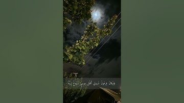 اسم القارئ: رمضان الطوخي