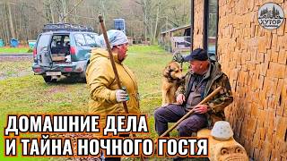 картинка: ПОРЯДОК ВОКРУГ И ТАЙНА НЕОЖИДАННОГО ГОСТЯ. КТО ЭТО СДЕЛАЛ?