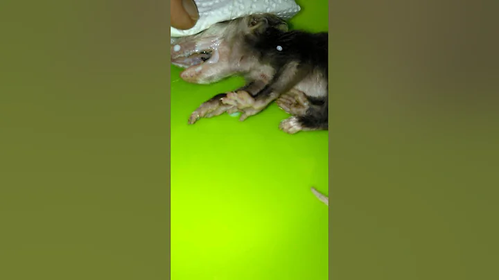 VID 20150716 091601