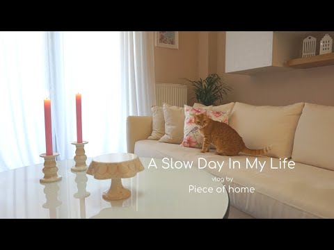 Video: Kako napraviti svoj dom mjestom pogodnim za mačke