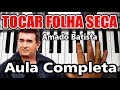 Como Tocar Folha Seca Amado Batista - Aula Completa