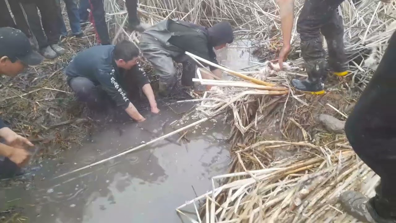 РЫБАЛКА 19.02.2025 ГОД.