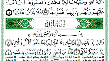 سورة الليل / حمزة الجزائري