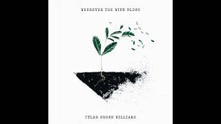Download Lagu Tyler Brown Williams- Wherever The Wind Blows (Official Audio) MP3
