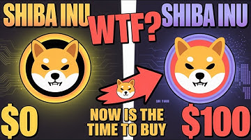 Shiba Inu Market Update: Volume Surge, Holders Growth & Key 2026 Catalysts