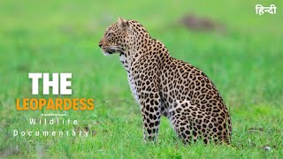 The Leopardess  Wild Africa, हिन्दी डॉक्यूमेंट्री | Wildlife Documentary in Hindi, Episode  2