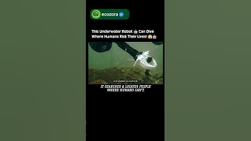 Diving Robot Replaces Human Divers in Deadly Waters🌊| ETH Zurich Tech #robotics #science #innovation