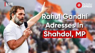 Lok Sabha Election 2024: Rahul Gandhi Addresses Rally In Shahdol, MP | Rahul Gandhi