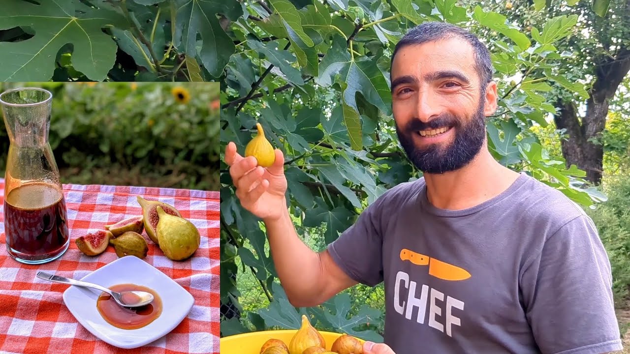 VINO COTTO DI FICHI (MELASSA) RICETTA TRADIZIONALE PUGLIESE-FIGS MOLASSES TRADITIONAL APULIAN RECIPE