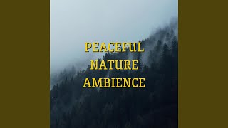 [Loopable] Simple Night Sounds, Pink Noise