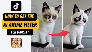 How to get the AI Manga Filter on TikTok | For Your Pets | Cats | Dogs | AI ANIME | New Trend