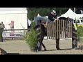 World championship working equitation 2022 in les herbiers maniabilit filipe gilberto on zinque