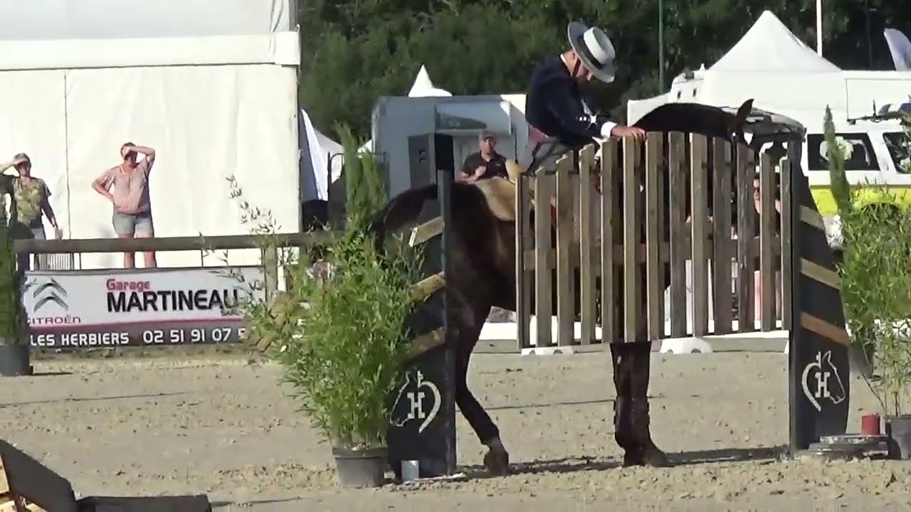 World Championship Working Equitation 2022 in les Herbiers maniabilitè Filipe Gilberto on ZINQUE