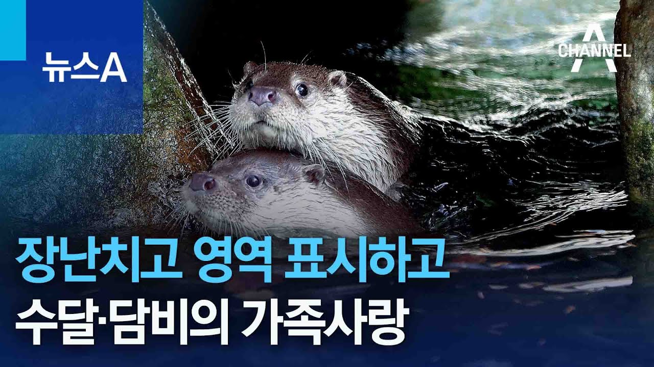 사랑의 현대적 변주, 과학과 문화로 본 '잊힘·지속·재발견
