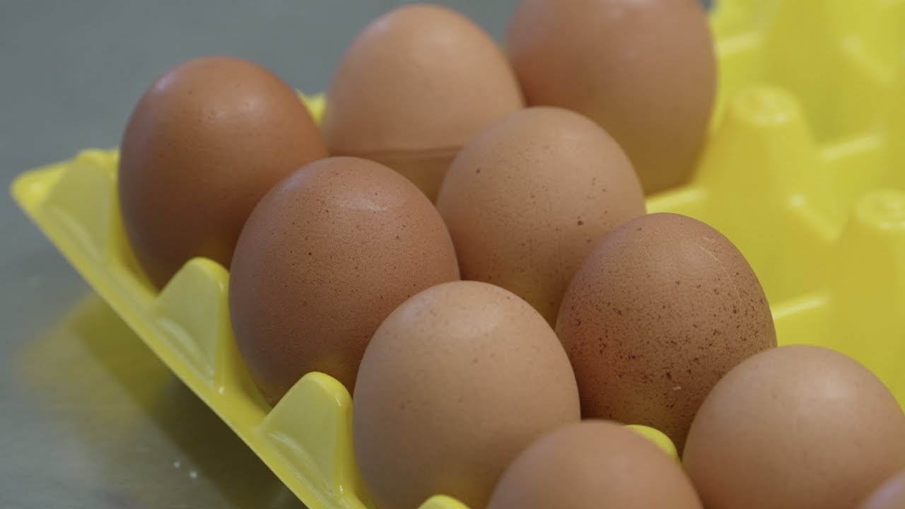 expiration-dates-are-not-always-accurate-how-to-make-the-most-of