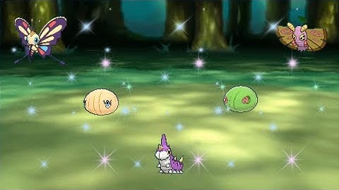 Live Shiny Wurmple Family after Less Than Total 5000 Encounters!!! In Omega Ruby Dex Nav ORAS