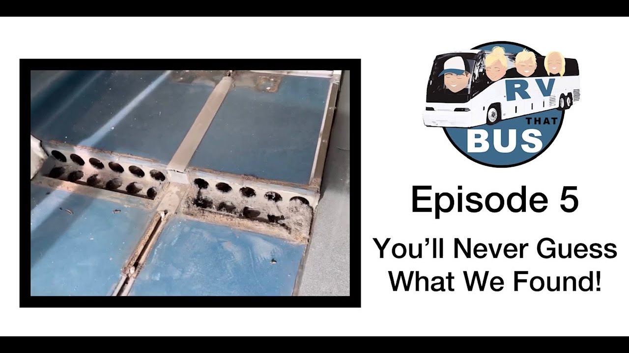 Episode 5 You’ll Never Guess What We Found! YouTube