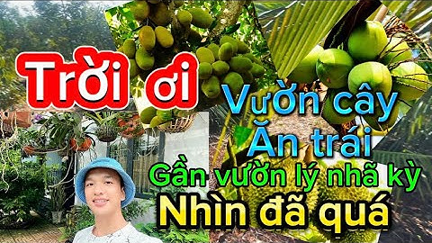 Chị thảo cần tiền xoay sở công việc đành bán mảnh vườn cây ăn trái gần chị lý nhã kỳ ở BRVT