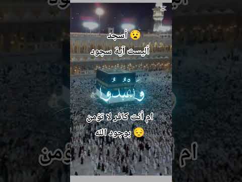 ضاع المسلمون وباتو ضلال وأصبح الحرام في عرفهم حلال