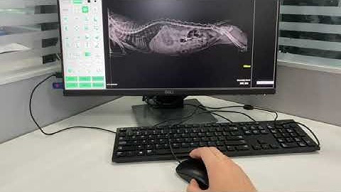 TUTOM VET DR software operation video