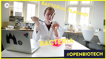#OPENBIOTECH vlog #2: how to get in jail as a biohacker