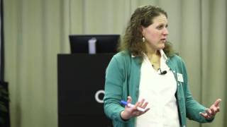 Developing a Programmatic Theory of Change