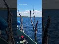 pesca sub #amém #mensagemdefé #jesusteama #oraçãodanoite #amen #jesuslovesyou #fe #pesca #4k