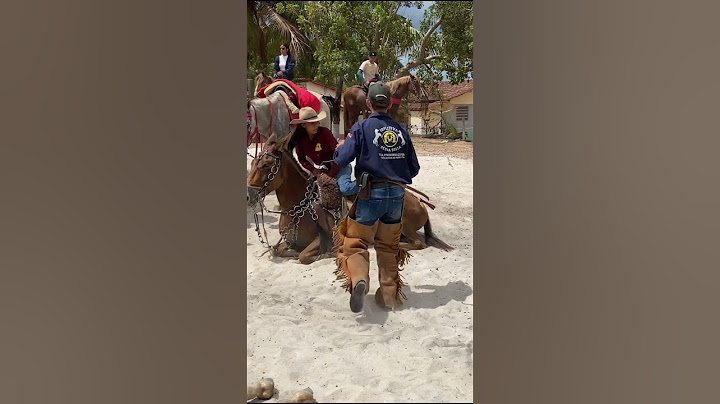 Meu parceiro casca de bala #vaquejada #cavalos #cavalo